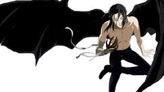 Anime Manga Blood Plus