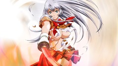 Anime Manga ecchi Ikki Tousen Chouun Shiryuu