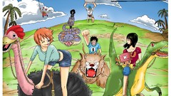 Anime Manga fun racing monkey d luffy Nico Robin tony tony 
