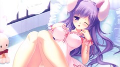 Anime Manga stockings anime girls lingerie uniforms underwear 