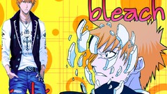 Anime masks bleach kurosaki ichigo shattered