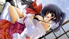 Anime models miko Japanese clothes soft shading