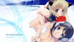 Anime nekomimi animal ears cleavage