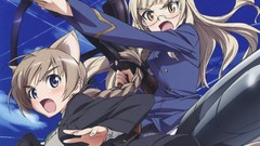 Anime nekomimi animal ears strike witches lynette bishop 