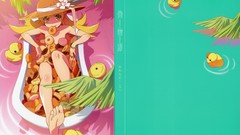 Anime nisemonogatari oshino shinobu