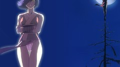 Anime panties ninjas