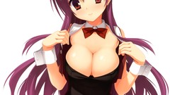 Anime pantyhose animal ears ecchi cleavage bunny ears