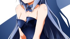 Anime pantyhose infinite stratos animal ears laura tails bunny 