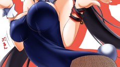 Anime pantyhose infinite stratos animal ears shinonono houki 