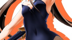 Anime pantyhose infinite stratos animal ears tails bunny suit 