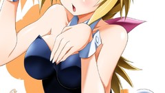 Anime pantyhose infinite stratos animal ears tails charlotte 