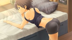Anime pillows brunettes short hair