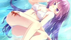 Anime pink hair long hair anime girls bakemonogatari 