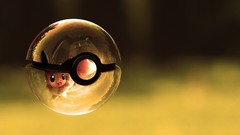 Anime Pokemon Pokeball eevee