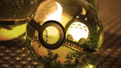 Anime Pokemon totoro hayao miyazaki video games studio ghibli 