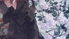 Anime prototype fate series Fate/Protoype