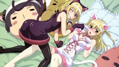 Anime red eyes stockings blondes blush maria holic nekomimi cat 