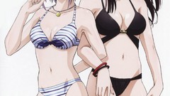 Anime rosario to vampire shirayuki mizore Simple Background 