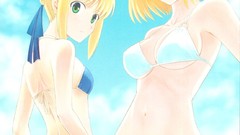 Anime saber anime girls arcueid brunestud bikini