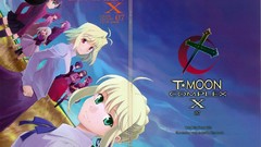 Anime saber anime girls fate stay night arcueid brunestud 