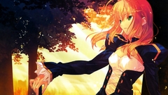 Anime saber fate series