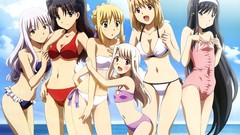 Anime saber fate stay night arcueid brunestud tsukihime tohno 