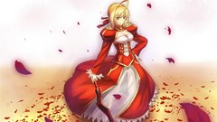 Anime saber fate stay night fate series Fate/EXTRA Saber Extra