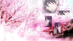 Anime sakura cherry blossoms