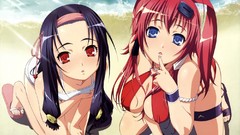 Anime samurai Beaches brides bikini artwork Hyakka Ryouran 