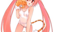 Anime school animal ears ecchi tails Simple Background 