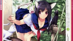 Anime school uniforms nekomimi animal ears sailor uniforms