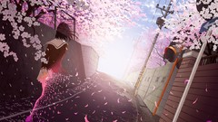 Anime seifuku cherry blossoms