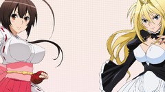 Anime sekirei tsukiumi Musubi