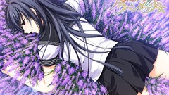 Anime sharin no kuni himawari no shoujo