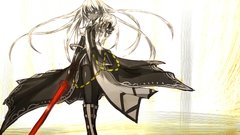 Anime Shirogane Usagi (Artist)