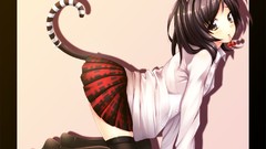 Anime skirts anime girls nekomimi animal ears thigh highs