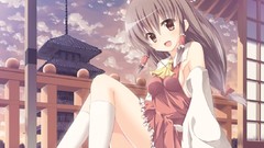 Anime skirts long hair hakurei reimu touhou