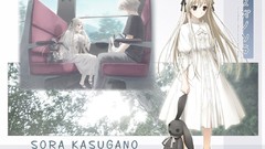 Anime skirts long hair skyscapes