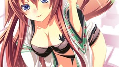 Anime skirts school uniforms animal ears ecchi panties thigh 