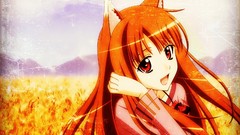 Anime spice and wolf animal ears Holo The Wise Wolf inumimi