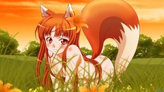Anime spice and wolf bangs animal ears ecchi flower in hair 