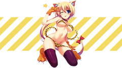 Anime stockings anime girls blue eyes nekomimi animal ears 