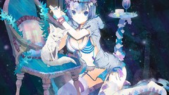 Anime stockings blue hair anime girls blue eyes animal ears 