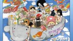 Anime strawhat pirates one