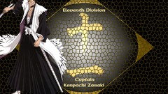 Anime Symbols bleach Captains Zaraki Kenpachi