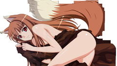 Anime tails spice and