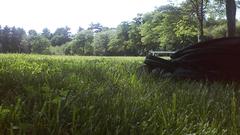 Anime Trees grass rocks