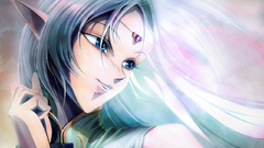 Anime true elf Record