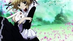 Anime tsubasa reservoir chronicle Tsubasa Chronicle