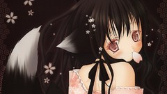 Anime USA brunettes animal ears tails